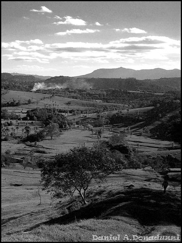 Interior de Taquara