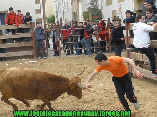 Villatuerta (Navarra) Ganaderia Miguel Reta 7 - 03 - 2009 3339159674_cfee37b894