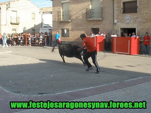 Sobradiel (Zaragoza) 24-04-2009 Ganaderia Los Maños de Luesia. 3478645779_e2178622a6