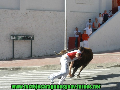 Arnedo 20-03-09 Ganaderia Manuel Merino 3379240862_03b70740c0