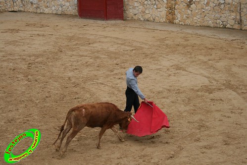 Ganaderia de Antonio Bañuelos (Burgos) 3566628604_1c72cbabcc