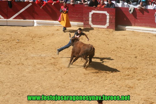 Arnedo 22-03-2009 Ganaderia Manuel Merino 3384927875_5af6c23528