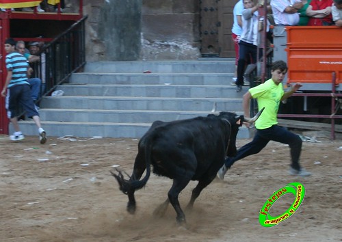 Alpartir (Zaragoza) 21-06-2009 Ganaderia "El Ruiseñor" (Frescano) 3656015159_0cf4fbafcd