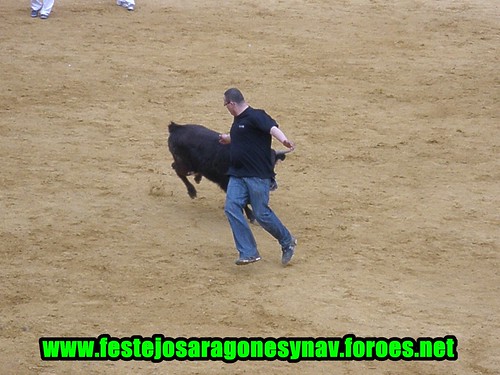 Calahorra domingo 01 - 03 - 2009 Ganaderia German Vidal 3320350714_b55ff4df58