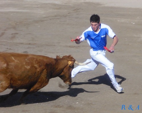 El Burgo de Ebro (Zaragoza). Concurso de Anillas con Reses de la Ganadería de Hnos. Ozcoz, de Fuentes de Ebro 3480895968_25364dbd41