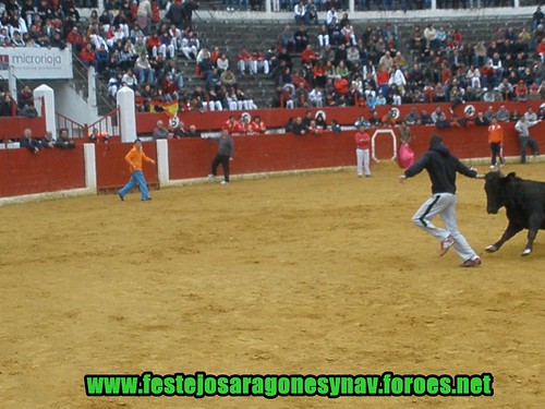 Calahorra domingo 01 - 03 - 2009 Ganaderia German Vidal 3321610769_ffd515f3b9