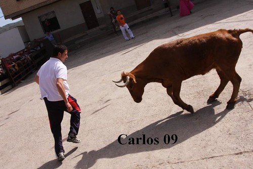 CABRETON (LA RIOJA) 16-5-09 GANADERIA SANTOS ZAPATERIA "CHUSMA" 3545267857_4c8bbdb2ff