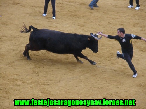 Calahorra domingo 01 - 03 - 2009 Ganaderia German Vidal 3319469963_f7c42df4d2