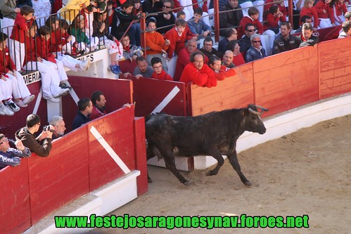 Arnedo 22-03-2009 Ganaderia Manuel Merino 3384900151_6aba442bfd