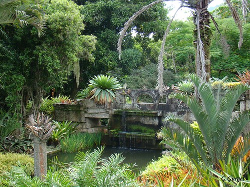 ROBERTO BURLE MARX A GREAT LANDSCAPE ARCHITECT (BRAZILIAN!) 3472719188_9e35d9dbf4