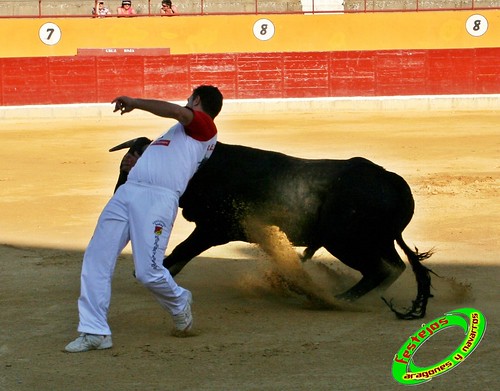 Alagon (Zaragoza) Concurso de cortes Ganaderia Jose Luis Cuartero (Pradilla de Ebro, Zaragoza) 3633720498_dc56136b91