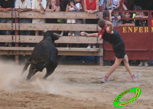 Mallen (Zaragoza) 8-09-2009 ganaderia Hnos. Vela (Mallen) 3905947895_3e019d4a6b