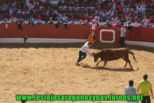 Arnedo 20-03-09 Ganaderia Manuel Merino 3379328710_5858c90949