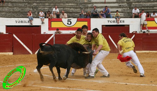 Concurso de roscaderos Ejea de los Caballeros (Zaragoza) 27-06-2009 ganaderia Pedro Dominguez (Funes, Navarra) 3678517861_a5b8c5c7d2