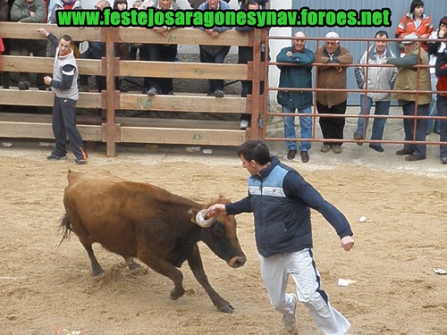 Villatuerta (Navarra) Ganaderia Miguel Reta 7 - 03 - 2009 3339069788_c5a462cae6