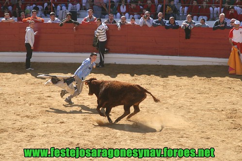 Arnedo 20-03-09 Ganaderia Manuel Merino 3378467481_533c133c60