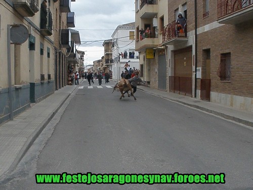 Castejon (Navarra) 28-03-2009 Ganaderia "El Ruiseñor" 3398305171_925a04a561