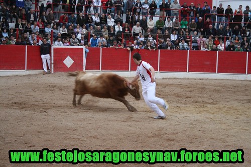 Concurso de anillas (Fitero) 3360403688_9f5ee82961