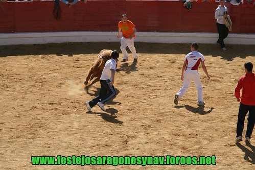 Arnedo 20-03-09 Ganaderia Manuel Merino 3378508675_1f26922dd1