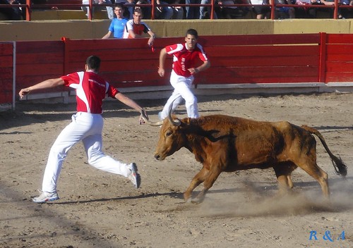 El Burgo de Ebro (Zaragoza). Concurso de Anillas con Reses de la Ganadería de Hnos. Ozcoz, de Fuentes de Ebro 3480827190_d2dcbb7999