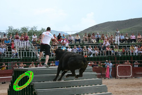 Concurso de ganaderias en Mores (Zaragoza) Francisco Murillo, Jose Antonio Murillo, Hnos. Joven Salas 3585485206_34d8574069