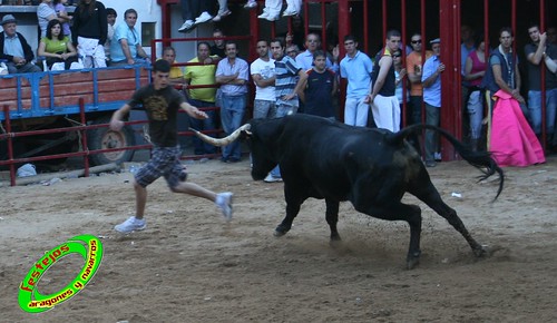 Alpartir (Zaragoza) 21-06-2009 Ganaderia "El Ruiseñor" (Frescano) 3656006589_b67af5309c