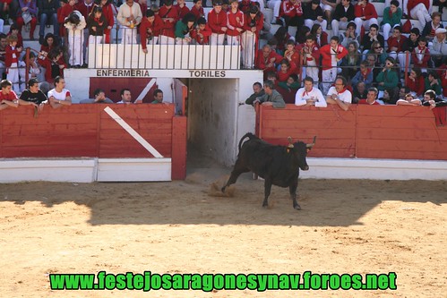 Arnedo 20-03-09 Ganaderia Manuel Merino 3378437059_9271f3a023