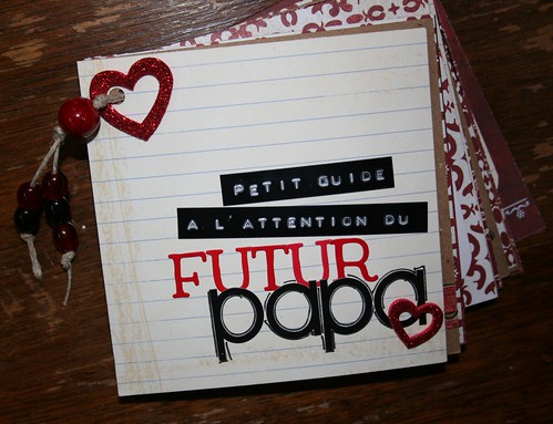 22 juin - Petit guide à l'attention du futur Papa 3650478108_dc2fc6b87f