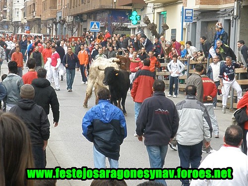 Calahorra domingo 01 - 03 - 2009 Ganaderia German Vidal 3320270640_79acb9df23