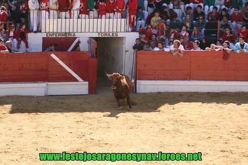 Arnedo 20-03-09 Ganaderia Manuel Merino 3378513373_d00382515f