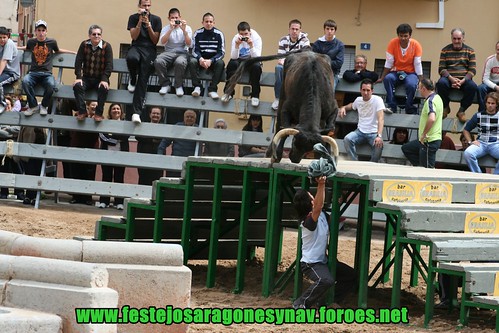 La Vall d'Uixó (Castellòn) Ganaderia de Carlos Orient (de les Coves de Vinrom) pruba de vacas 3447885899_3881d95f5d