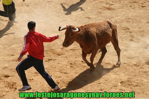 Arnedo 20-03-09 Ganaderia Manuel Merino 3379328090_513324e597