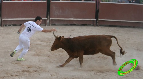 Ainzon (Zaragoza) 6-06-2009 Ganaderia "El Ruiseñor" (Frescano, Zaragoza) 3607977776_93bdd32aae