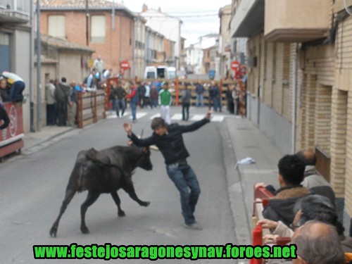 Castejon (Navarra) 28-03-2009 Ganaderia "El Ruiseñor" 3398317801_53afc882d5