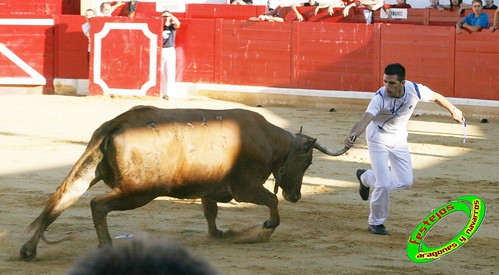 Peralta (Navarra) Concurso de recortadores 20-06-2009 Ganaderia Enrique Merino Gil y Manuel Merino Garde 3652087712_f77f14a1e9