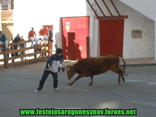 Arnedo 20-03-09 Ganaderia Manuel Merino 3379325694_8913f19cc4