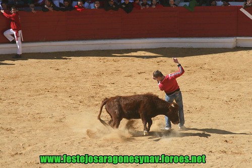 Arnedo 21-03-2009 Ganaderia Manuel Merino 3381335387_c99355deb7