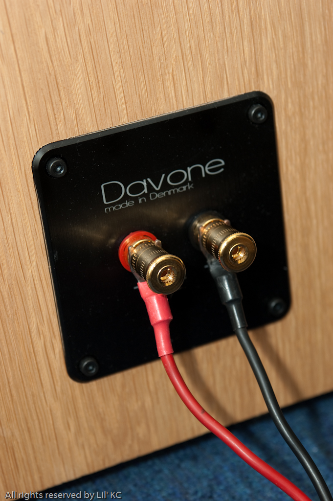 Davone Rithm speakers now available in Audio Basic (SG) 3447319437_2a75fc2647_o