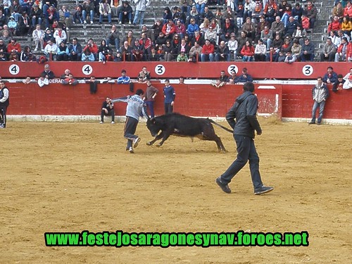 Calahorra domingo 01 - 03 - 2009 Ganaderia German Vidal 3321646989_2db3b9173f