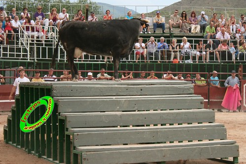 Concurso de ganaderias en Mores (Zaragoza) Francisco Murillo, Jose Antonio Murillo, Hnos. Joven Salas 3585566254_89885e8f66