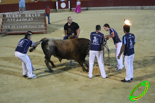 Alagon (Zaragoza) Exhibicion de emboladores de la cuadrilla de la Almunia y de emboladoras de Aragon y Navarra. 3636413350_546ea5afc0