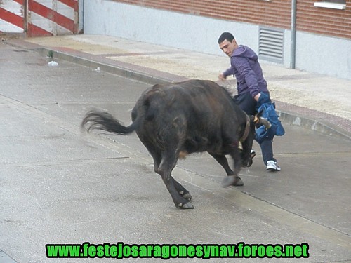 Arguedas (Navarra) 11-04-2009 tarde Ganaderia Ustarroz 3435840330_d8f12a91b5