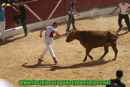 Arnedo 20-03-09 Ganaderia Manuel Merino 3378504519_f8cb4d6b72