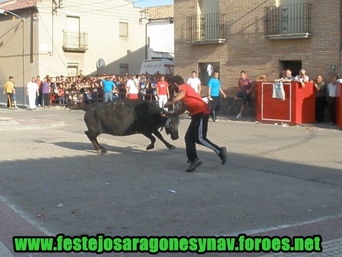 Sobradiel (Zaragoza) 24-04-2009 Ganaderia Los Maños de Luesia. 3479456572_780e752d3d