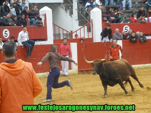 Calahorra domingo 01 - 03 - 2009 Ganaderia German Vidal 3322451506_d539b0492a