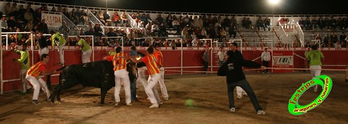 Concurso emboladores Alfajarin (Zaragoza) Ganaderia Hnos. Ozcoz 3550554055_5e0060f5d0