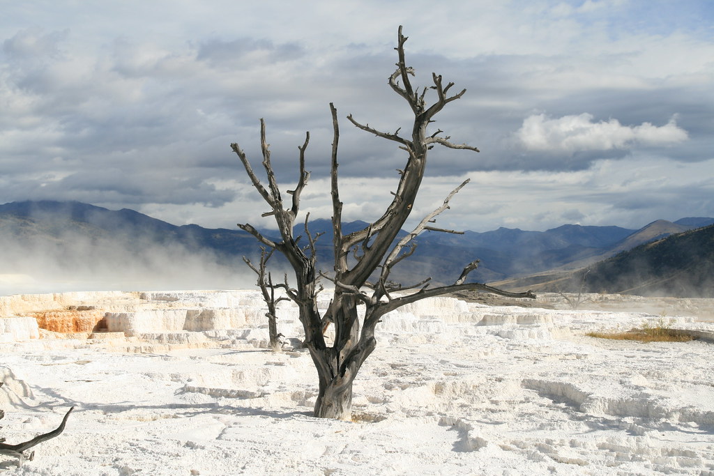 Diez paisajes espectaculares de Estados Unidos 2881997600_ea1a30531b_b