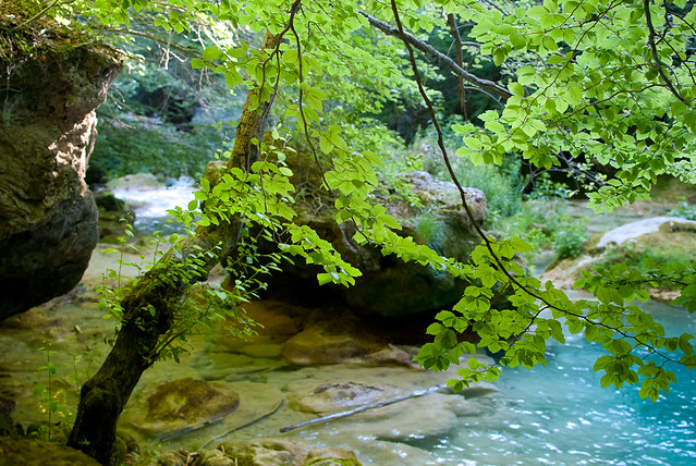 un río turquesa en Navarra, España (Urederra) .. 5868379219_88f137a408_z