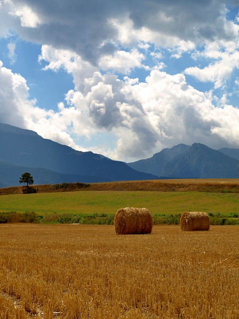 Valle de La Cerdanya 2801952523_70f31fd1dc_z