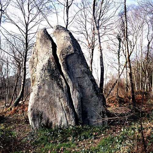 Menhir fendu de Plouhinec (56) 3477184893_77ed42fab9